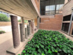Report on the inauguration of the permanent open-air exhibition “Ivy and Stone” at the Museum of Byzantine Culture